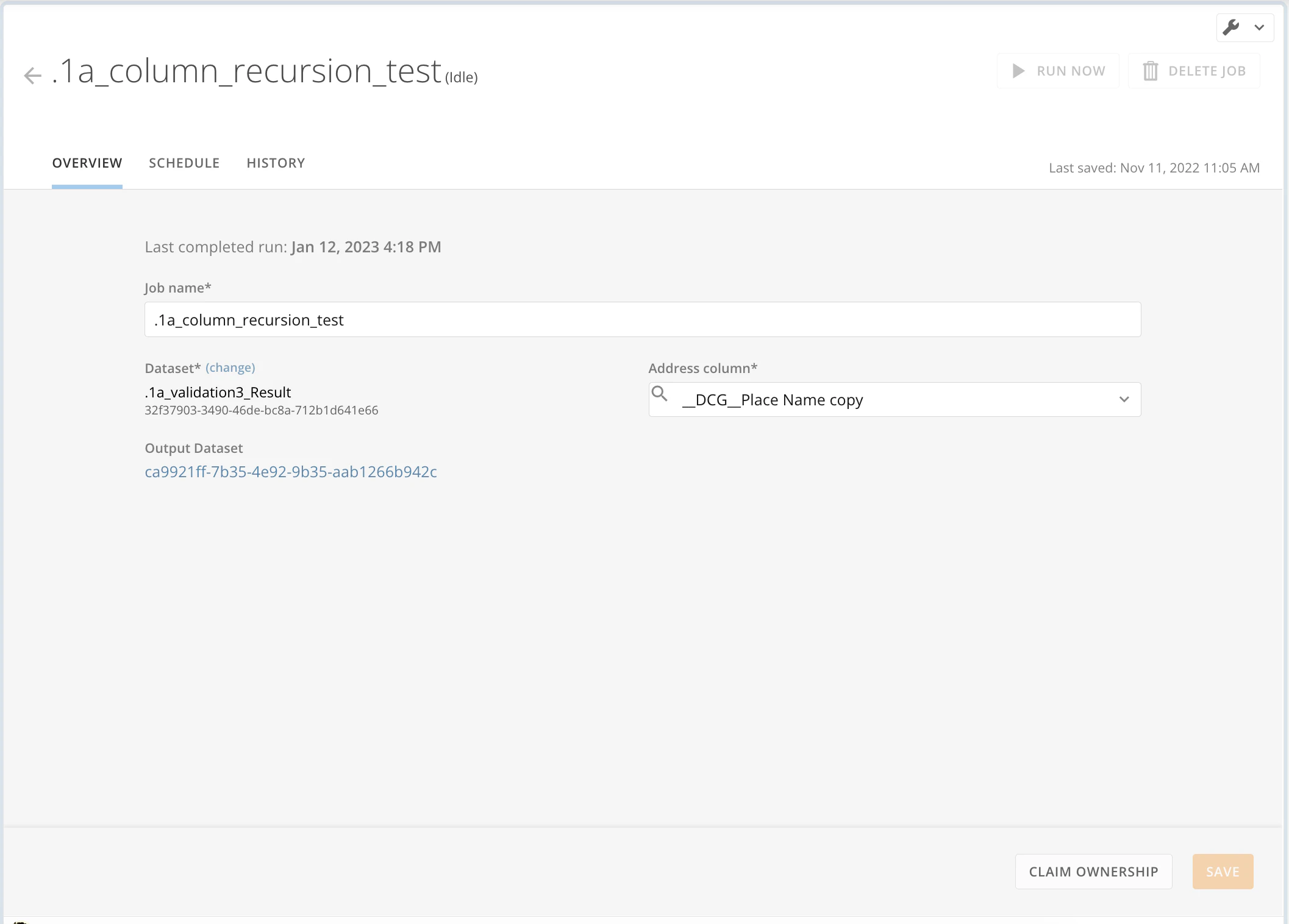 output dataset details.png