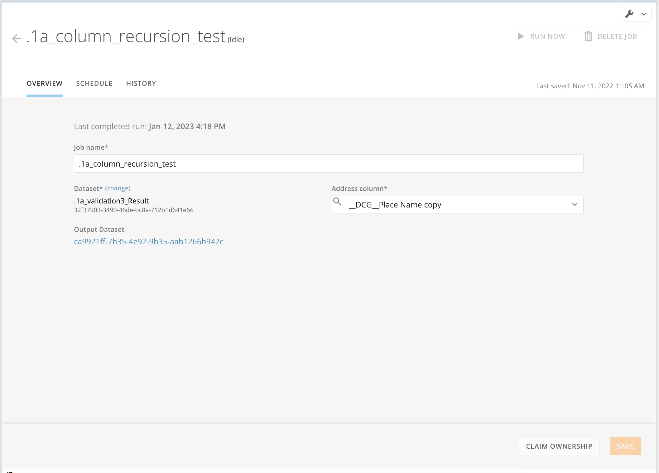 output dataset details.png