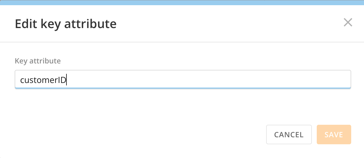 edit_key_attribute_modal.png