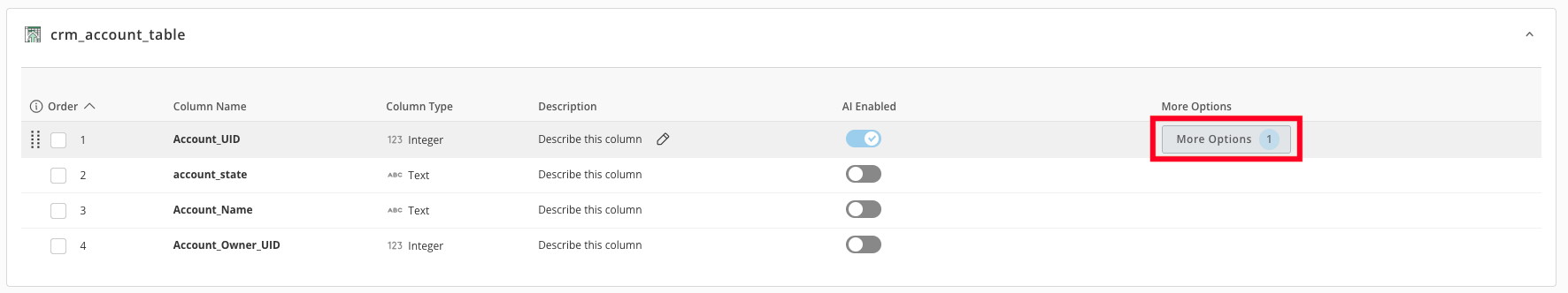 Schema Tab field options
