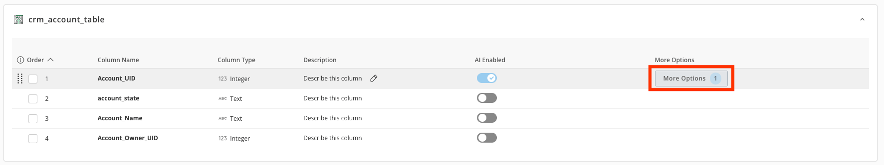 Schema Tab field options