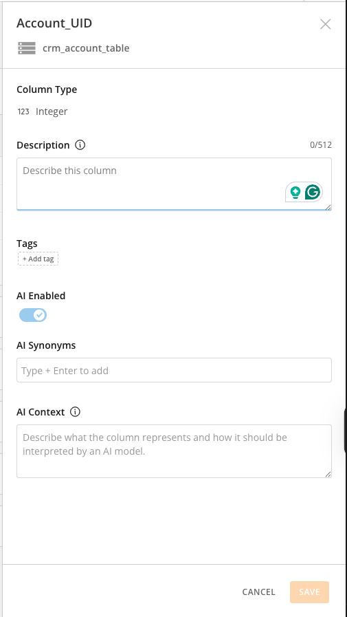 Schema Tab AI fields