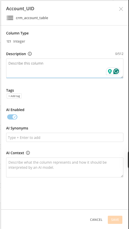 Schema Tab AI fields