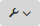gear_menu_icon.png