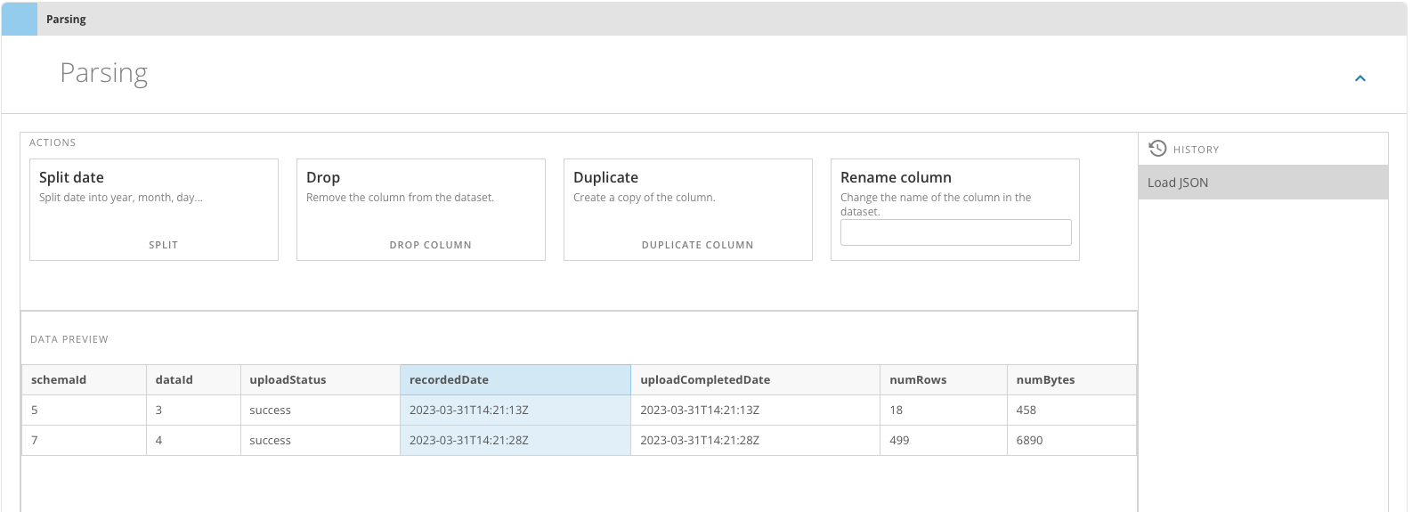 parsingOptions.png