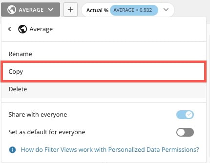 copy filter view.jpg