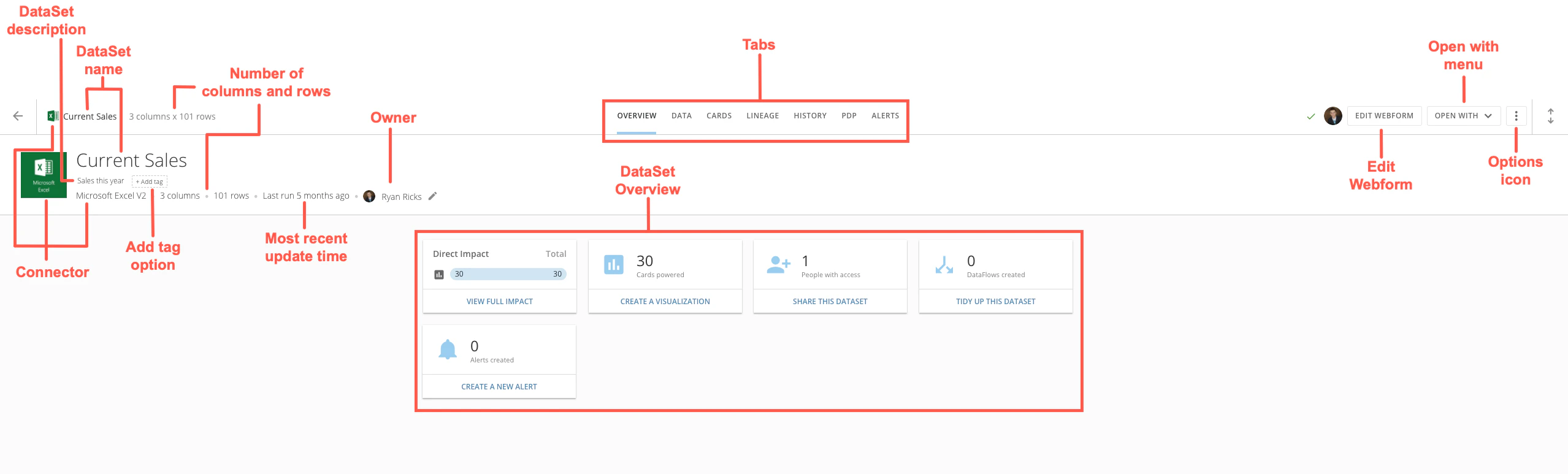 DataSet_Overview_Tab.png