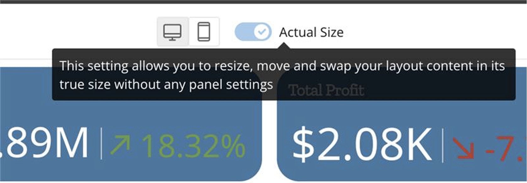 actual size editor.jpg