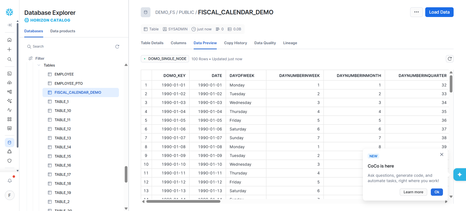 Fiscal calendar table loaded into Snowflake with a data preview