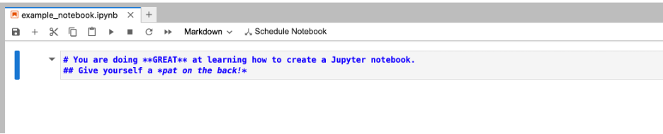 add input to cells.png