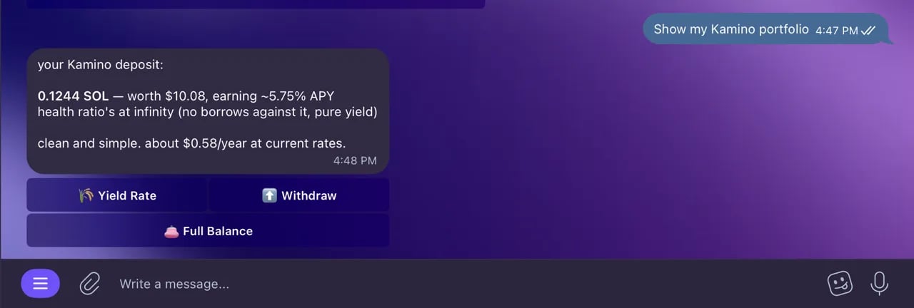Kamino portfolio in Telegram