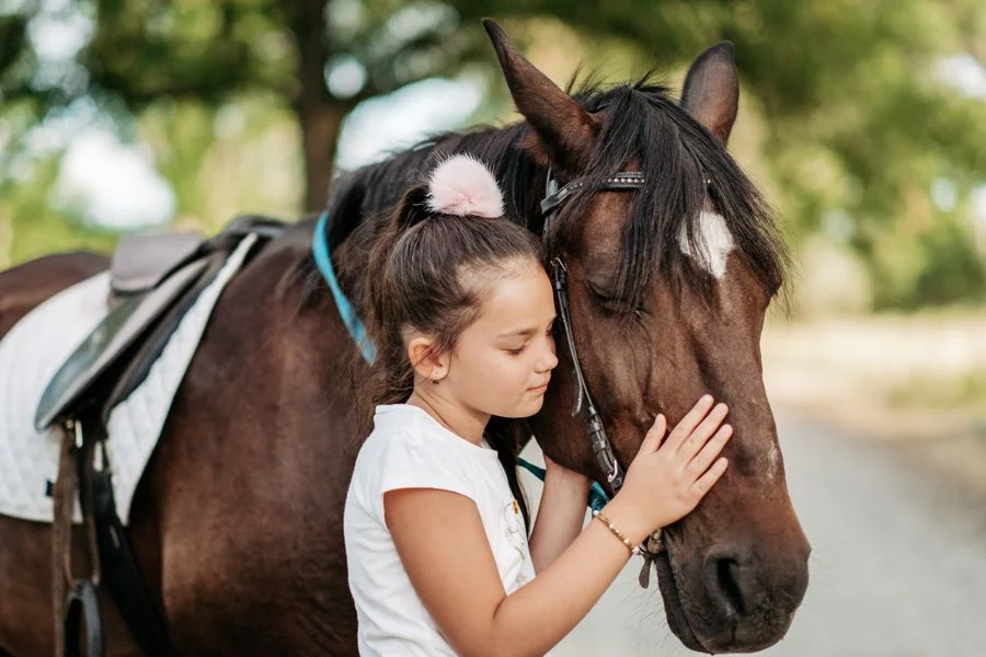 Emotional Contact With Horse Girl Rides Horse Summer