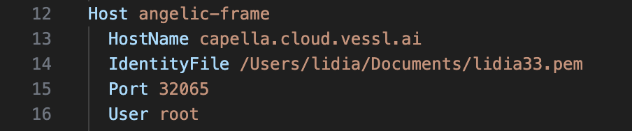 VS Code Remote-SSH 호스트 연결 화면