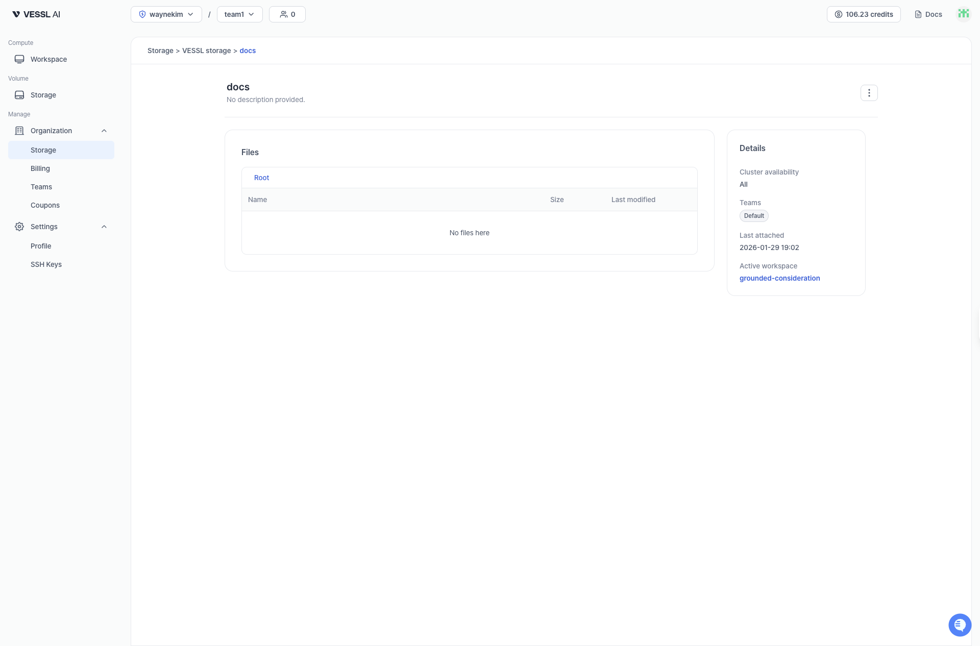 Volume details on VESSL.