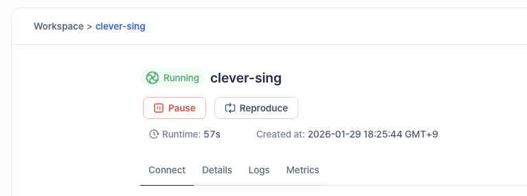Pause and terminate workspace on VESSL.