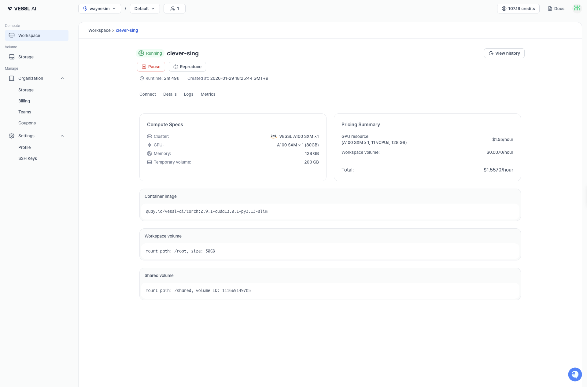 Workspace details on VESSL.