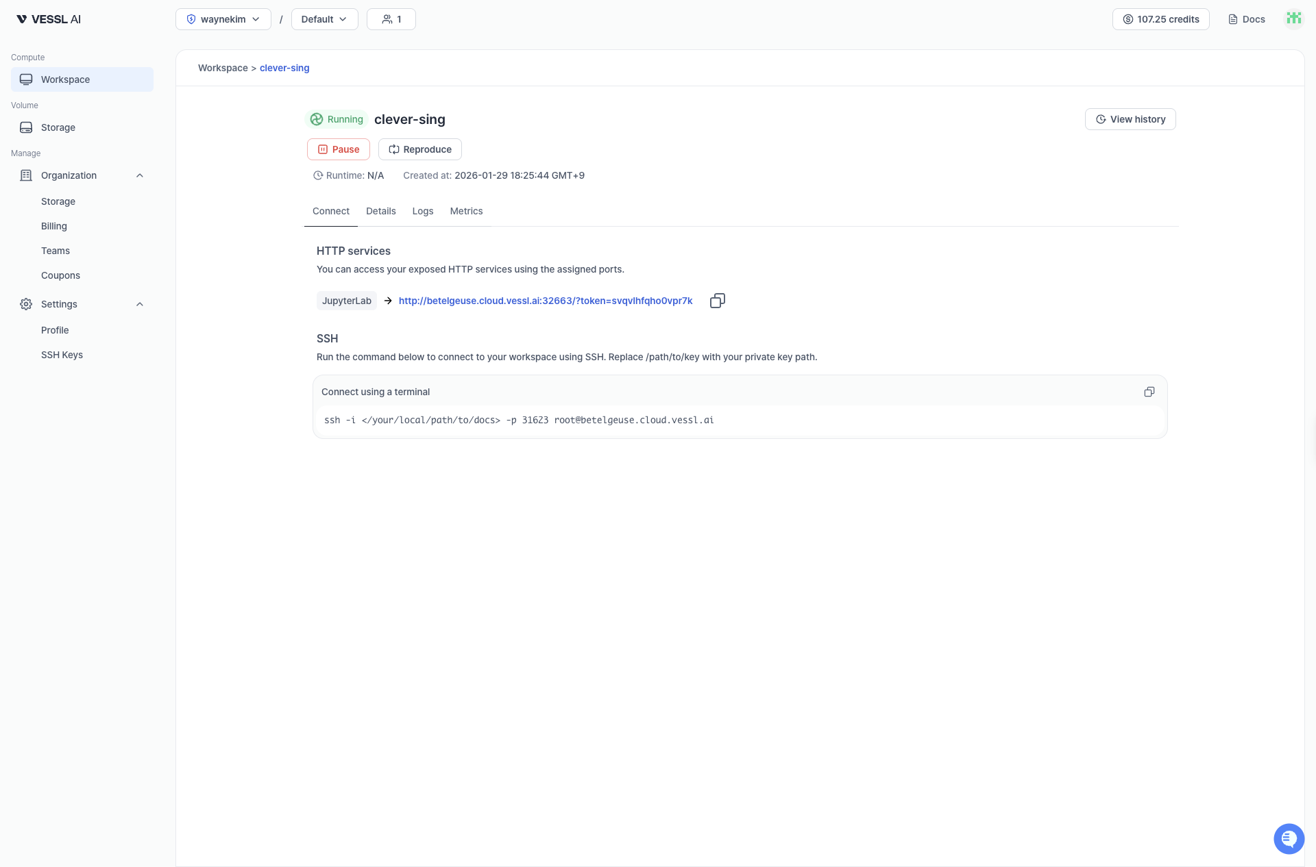 Workspace connect page on VESSL.
