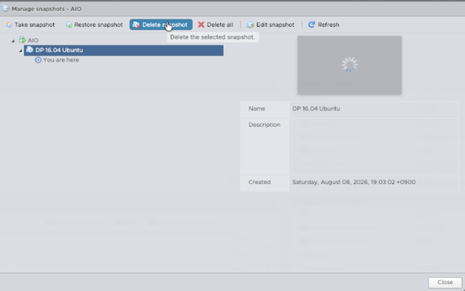 Open VMware Manage Snapshots for the upgraded DP