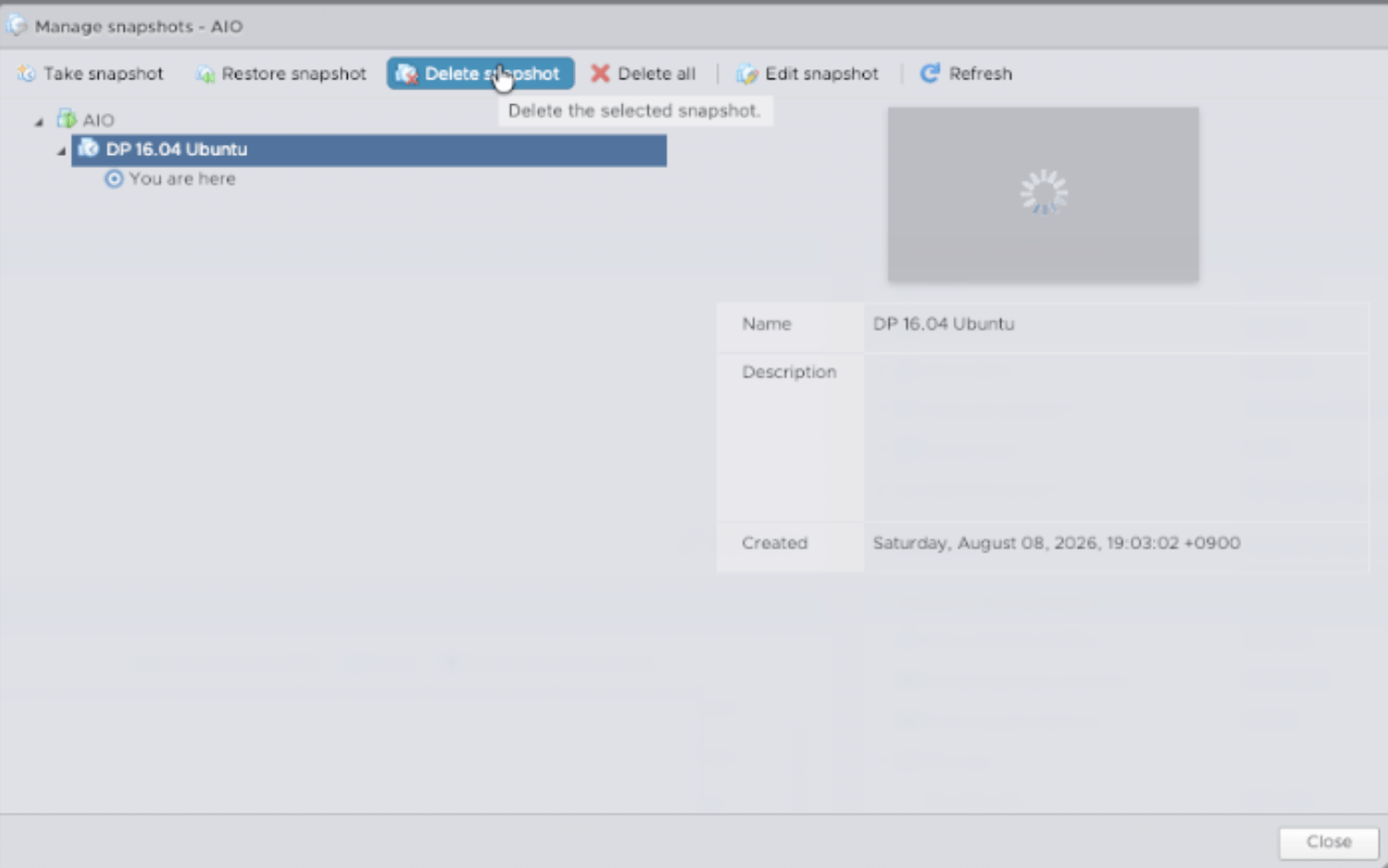 Open VMware Manage Snapshots for the upgraded DP