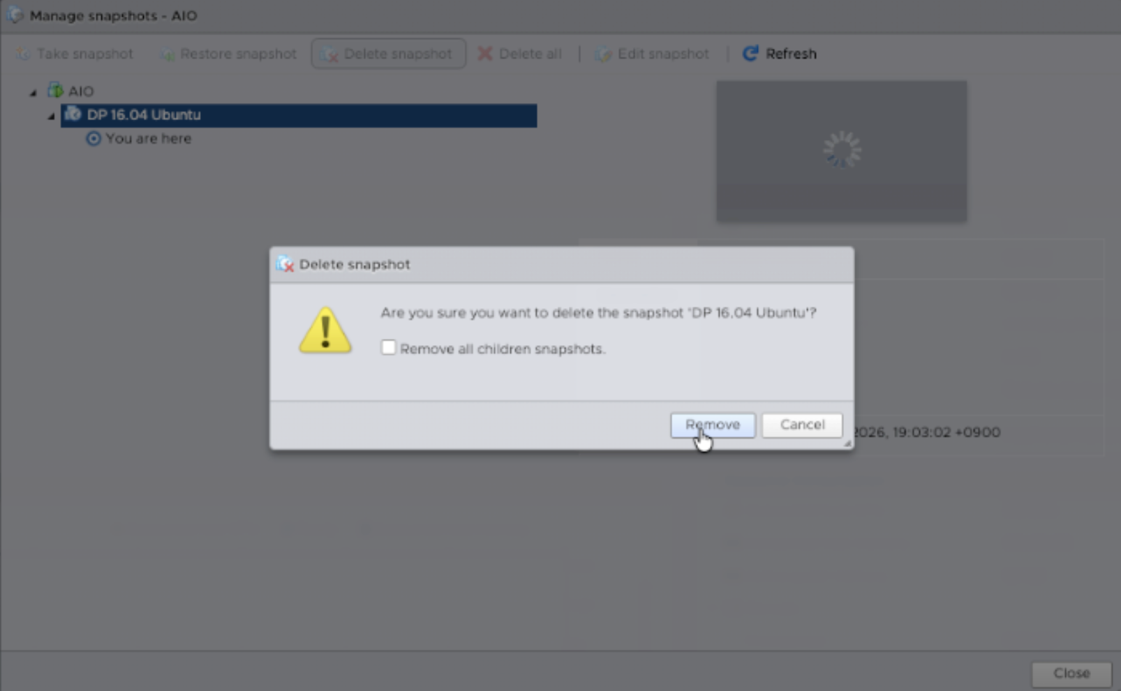 Select the temporary DP upgrade snapshot for deletion