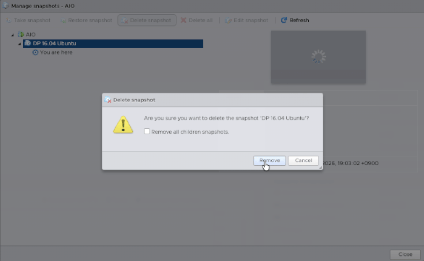 Select the temporary DP upgrade snapshot for deletion