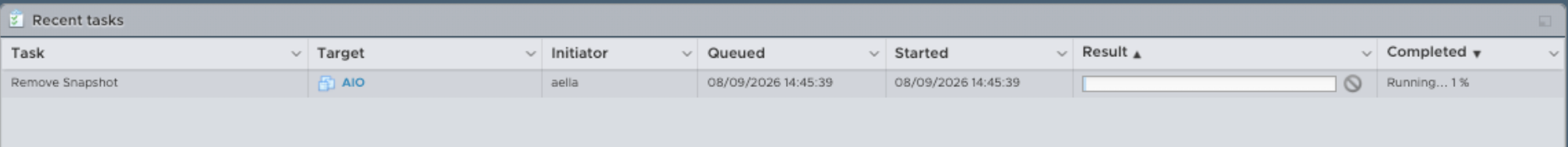 Confirm deletion of the temporary DP upgrade snapshot