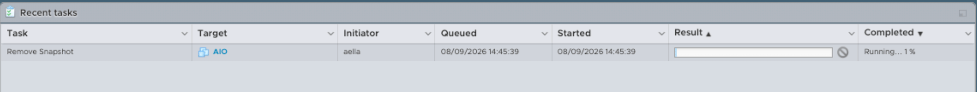 Confirm deletion of the temporary DP upgrade snapshot