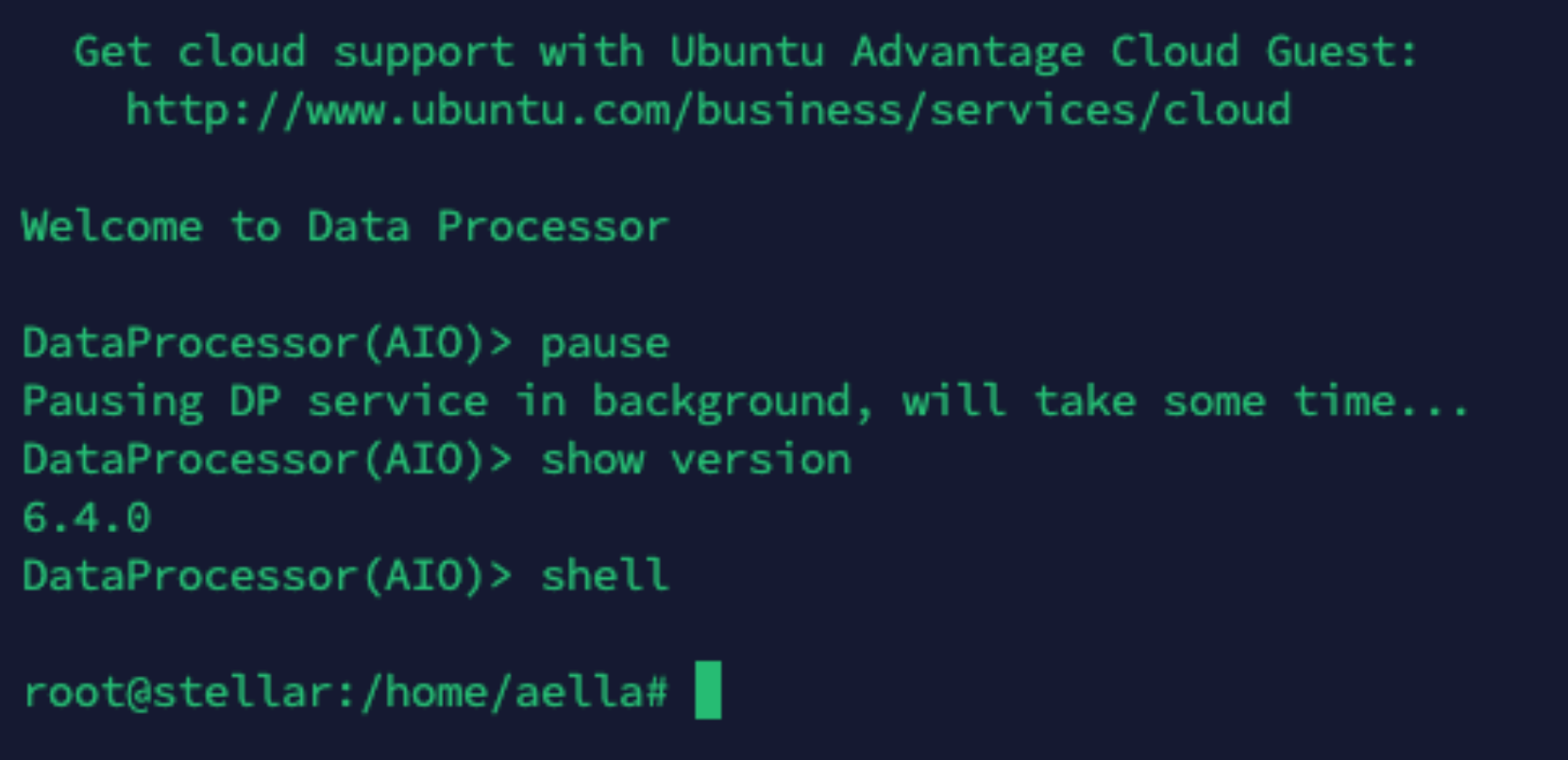 DP CLI pause, version check, and shell access