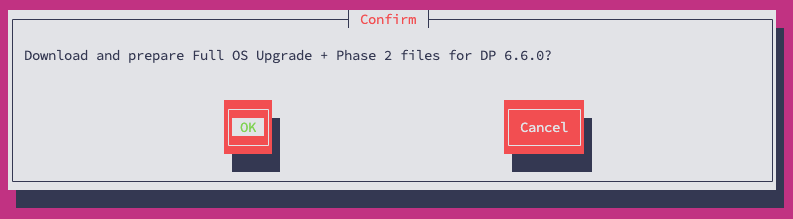 Confirm Mirror Manager download and prepare