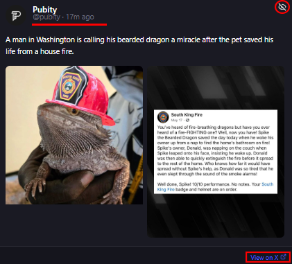 Uxento Vision Overview 2