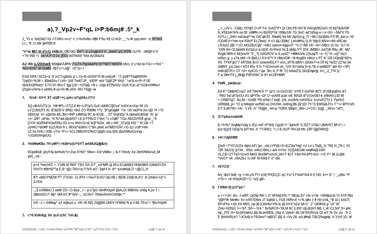 Document after obfuscation