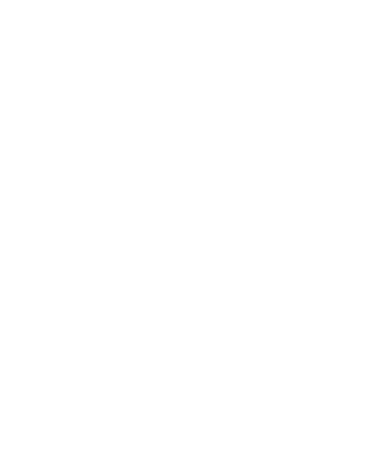 light logo