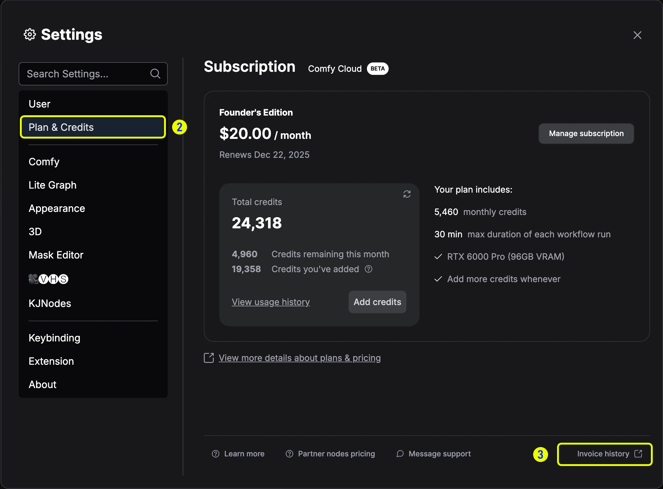 Credits tab in settings with Invoice History button highlighted