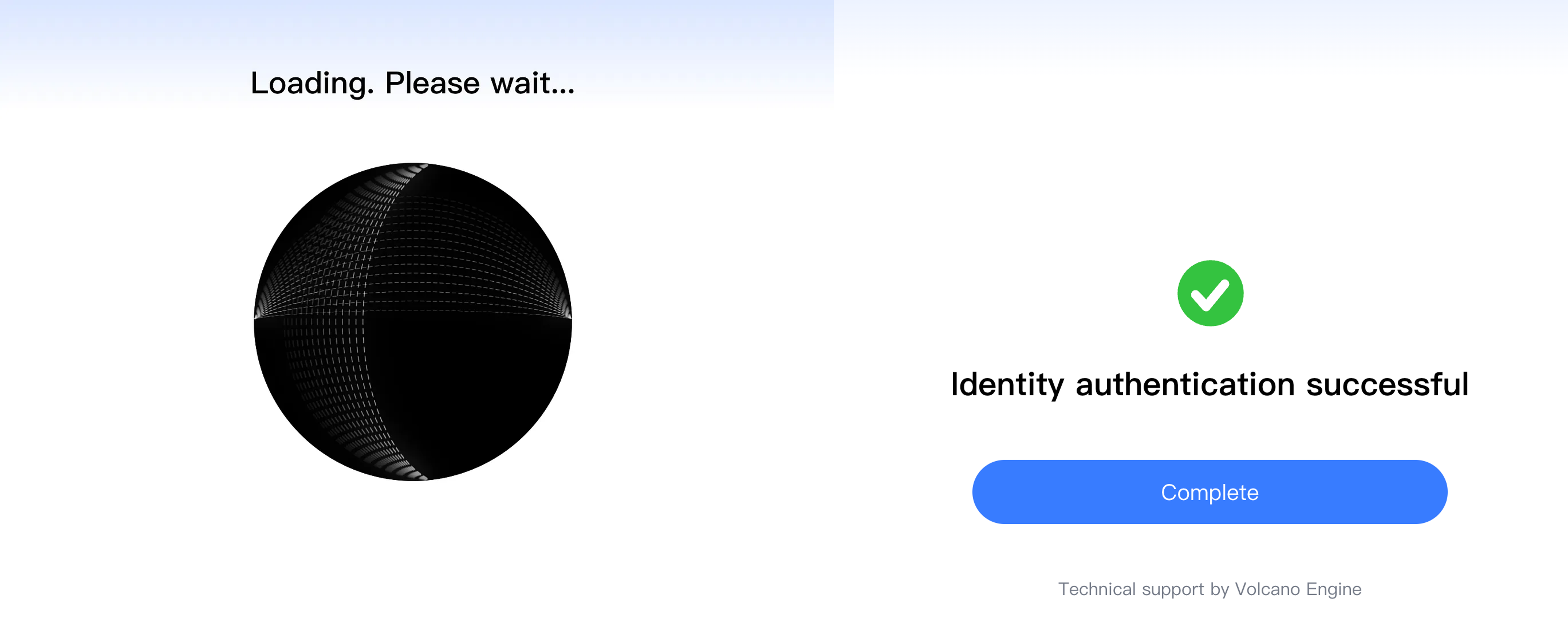 Complete identity authentication in the H5 verification page