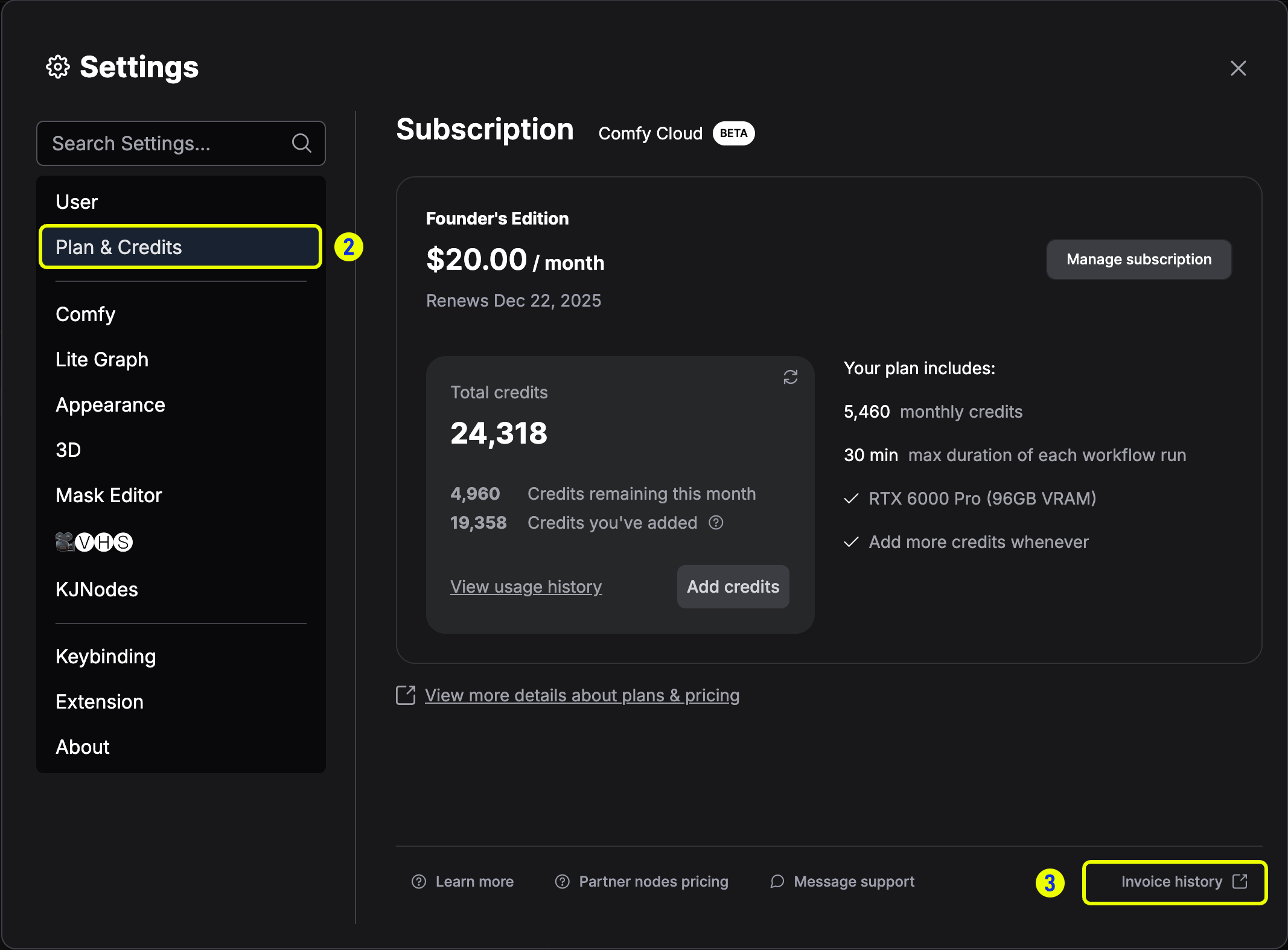 Credits tab in settings with Invoice History button highlighted
