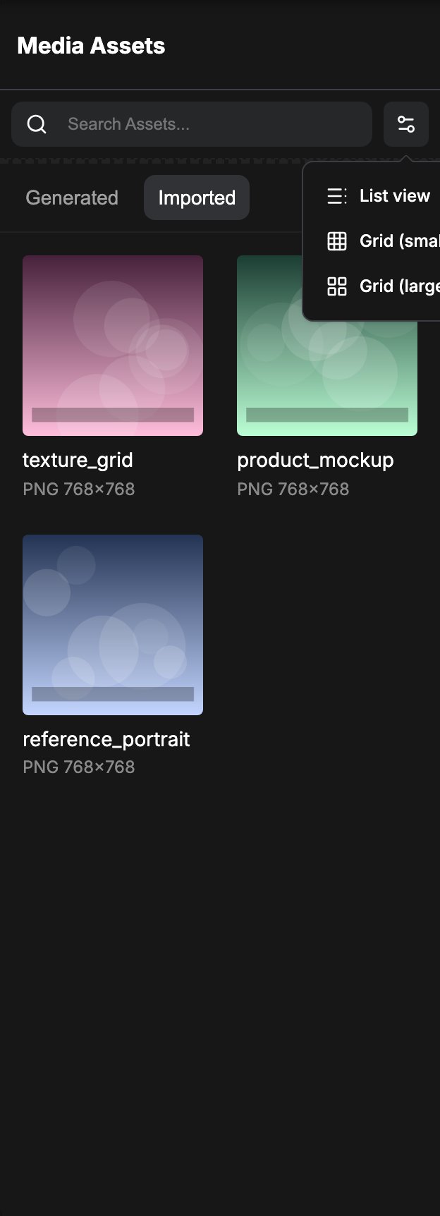 The Assets panel on the Imported tab, listing uploaded input files