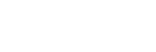 light logo