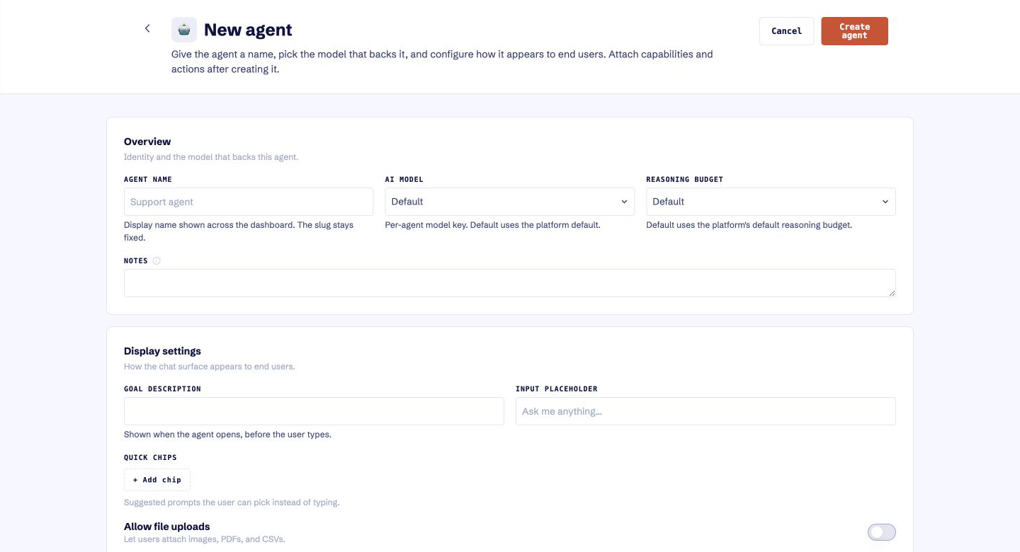 Agent configuration in the current Dubot application