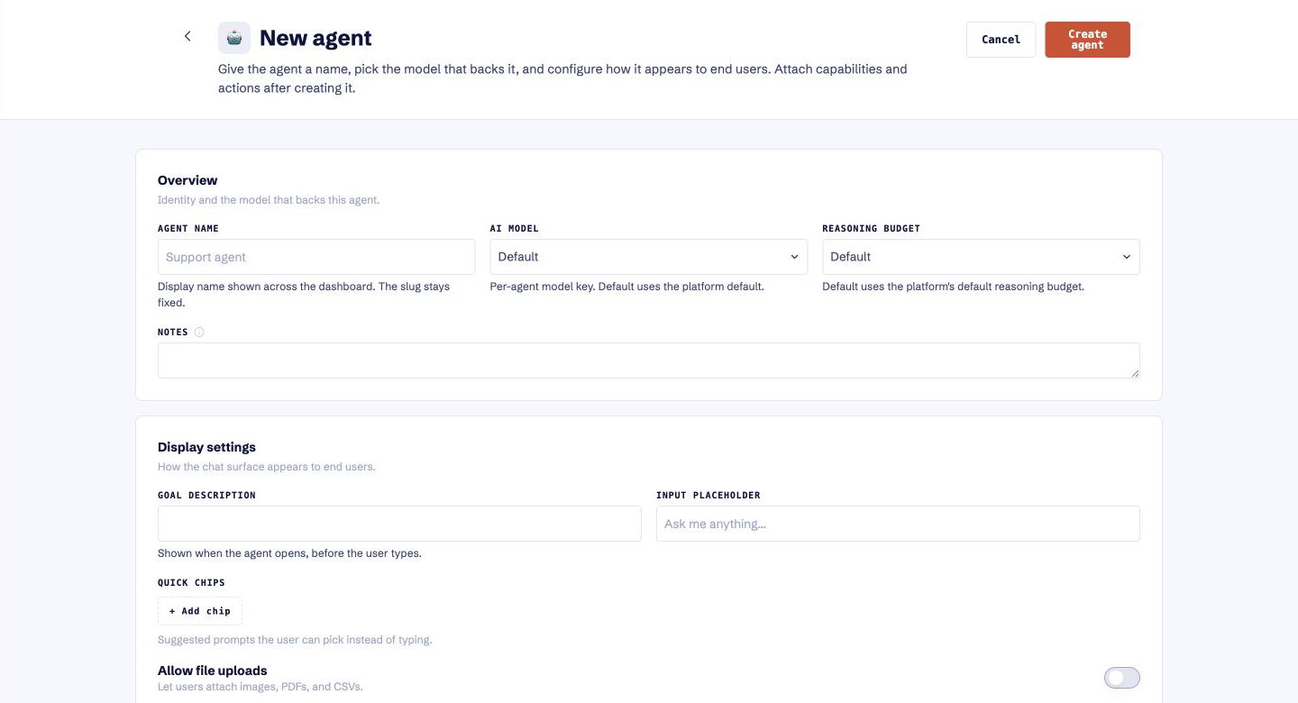 Agent configuration in the current Dubot application