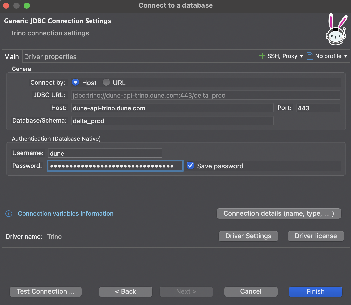 DBeaver step 3: Enter connection details