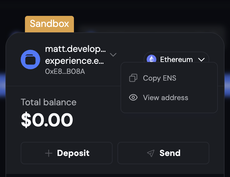 ENS subdomain in Dynamic Widget