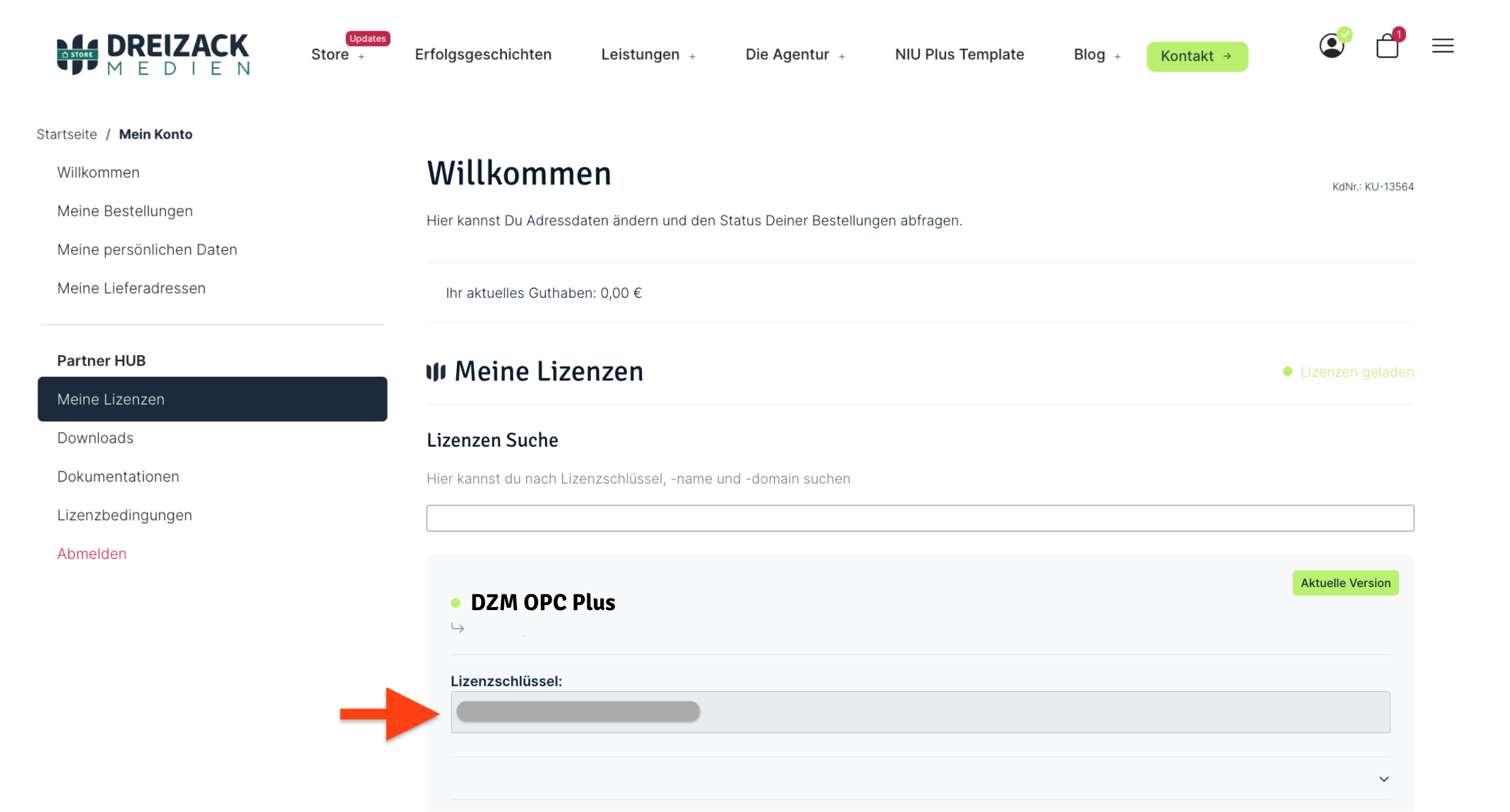 Meine Lizenzen im Kundenkonto