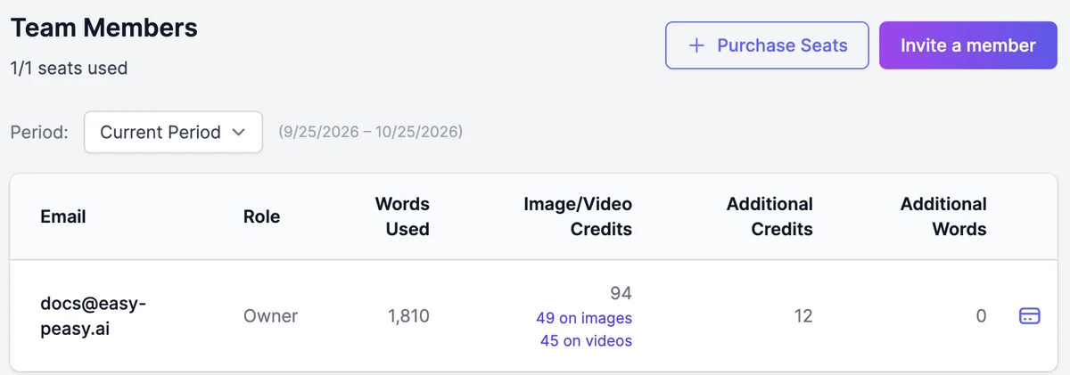 The Team tab: Team Members, 1/1 seats used, Purchase Seats and Invite a member buttons, a Period menu set to Current Period, and a table with Email, Role, Words Used, Image/Video Credits split into 49 on images and 45 on videos, Additional Credits, and Additional Words