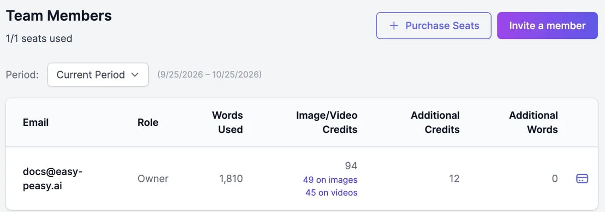The Team tab: Team Members, 1/1 seats used, Purchase Seats and Invite a member buttons, a Period menu set to Current Period, and a table with Email, Role, Words Used, Image/Video Credits split into 49 on images and 45 on videos, Additional Credits, and Additional Words