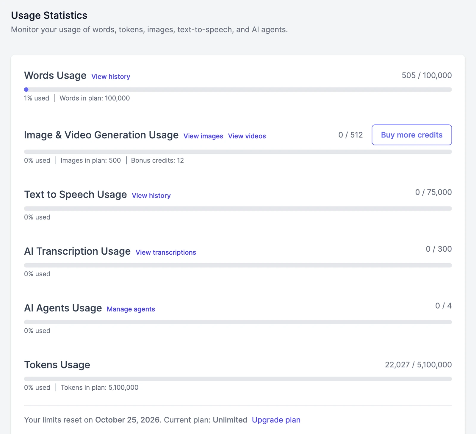 The Usage Statistics card with bars for words, image and video generation, text to speech, transcription, AI agents, and tokens, and the date the limits reset