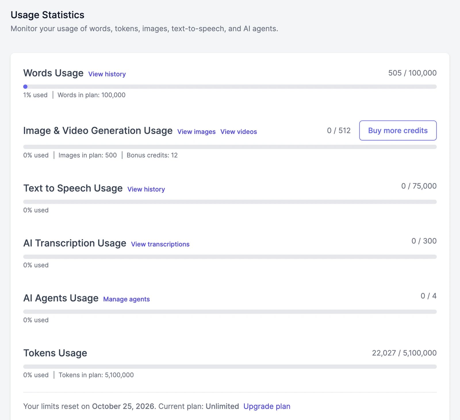 The Usage Statistics card with bars for words, image and video generation, text to speech, transcription, AI agents, and tokens, and the date the limits reset
