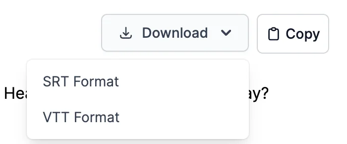 The Download menu with SRT Format and VTT Format