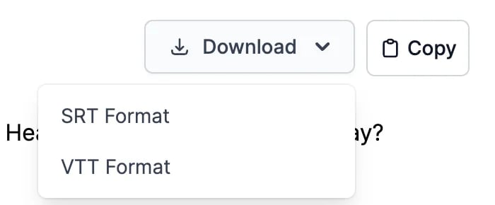 The Download menu with SRT Format and VTT Format