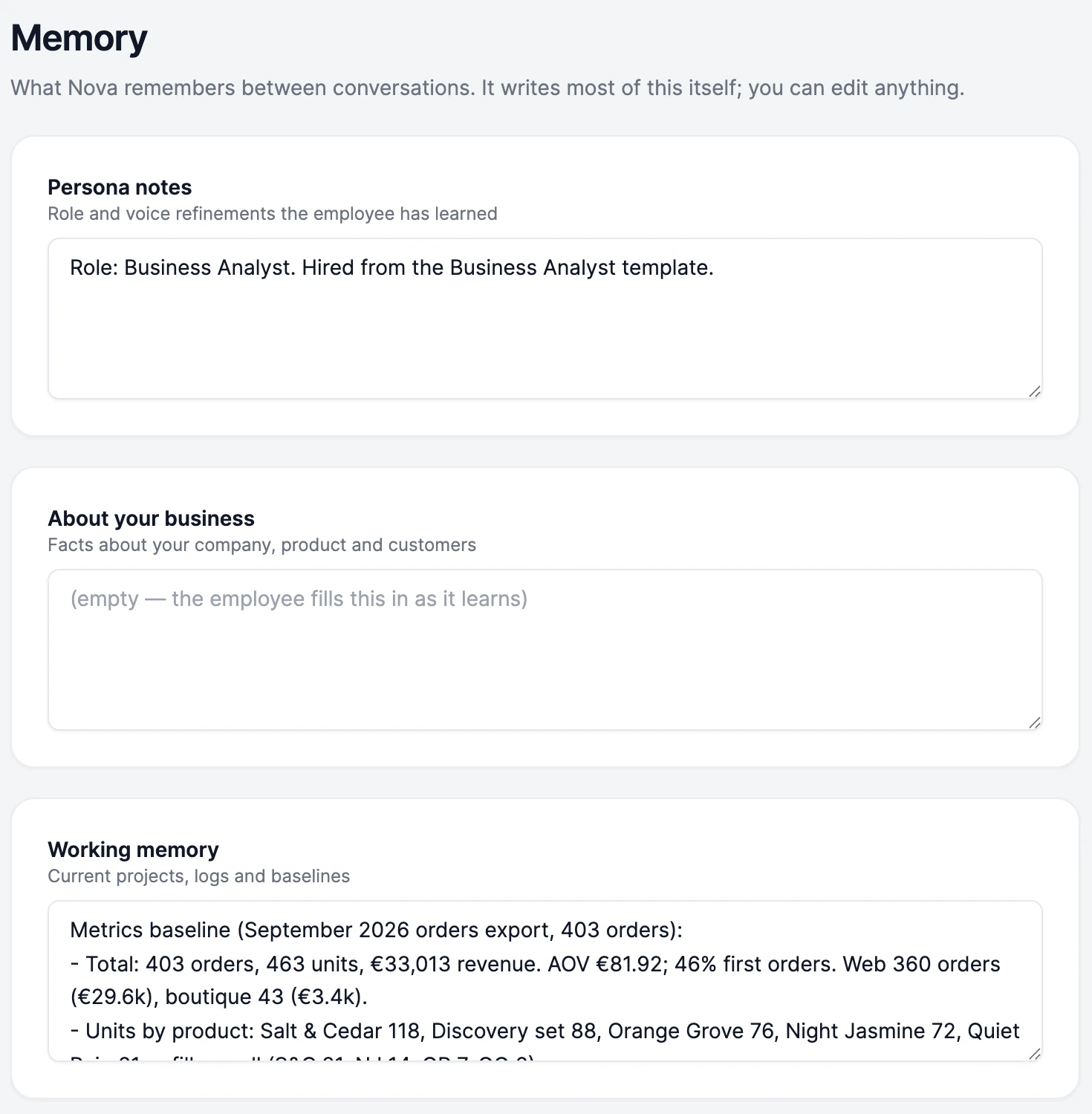 Nova's Memory: Persona notes, About your business and Working memory, each a box the employee fills in as it learns