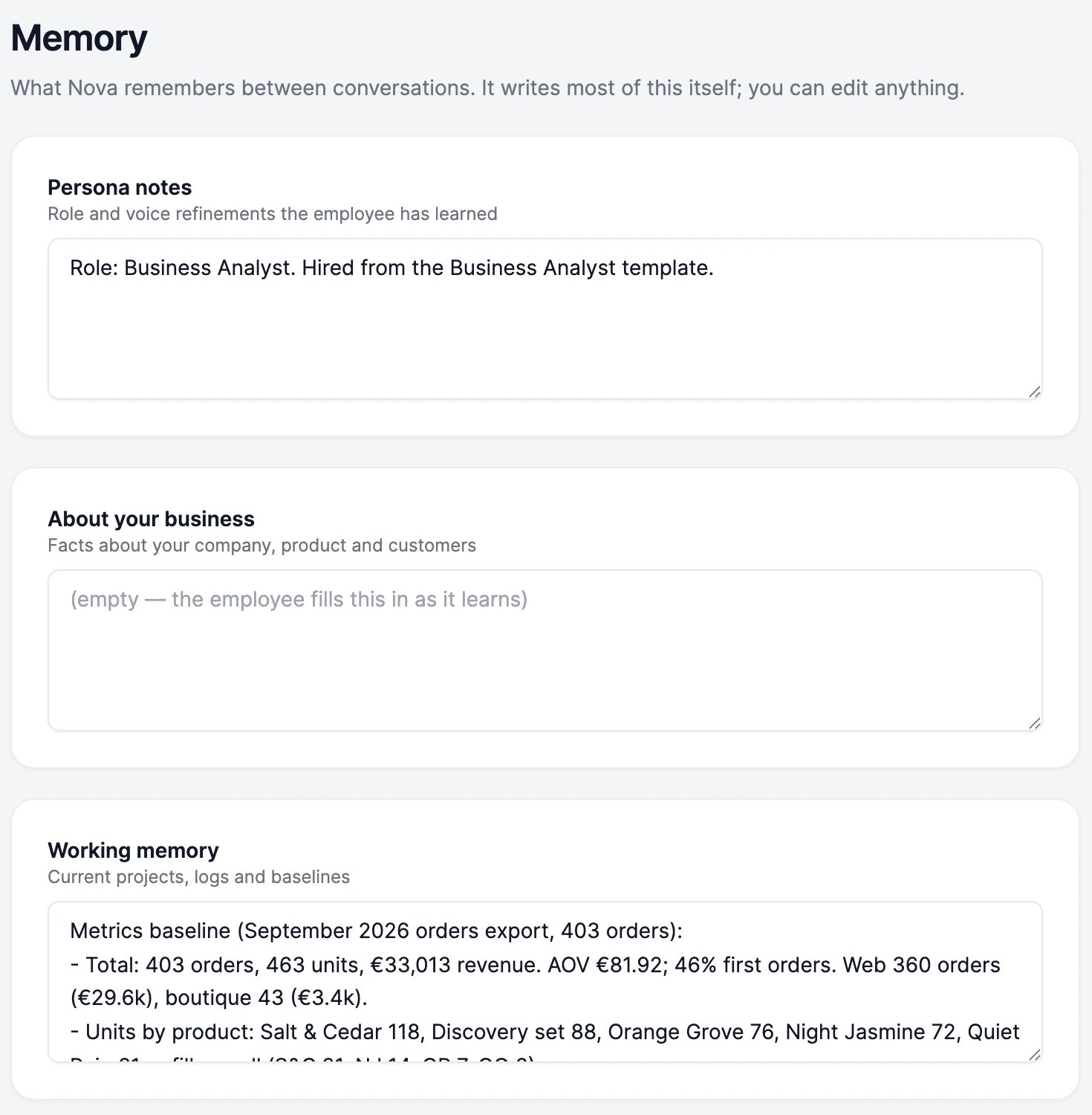 Nova's Memory: Persona notes, About your business and Working memory, each a box the employee fills in as it learns